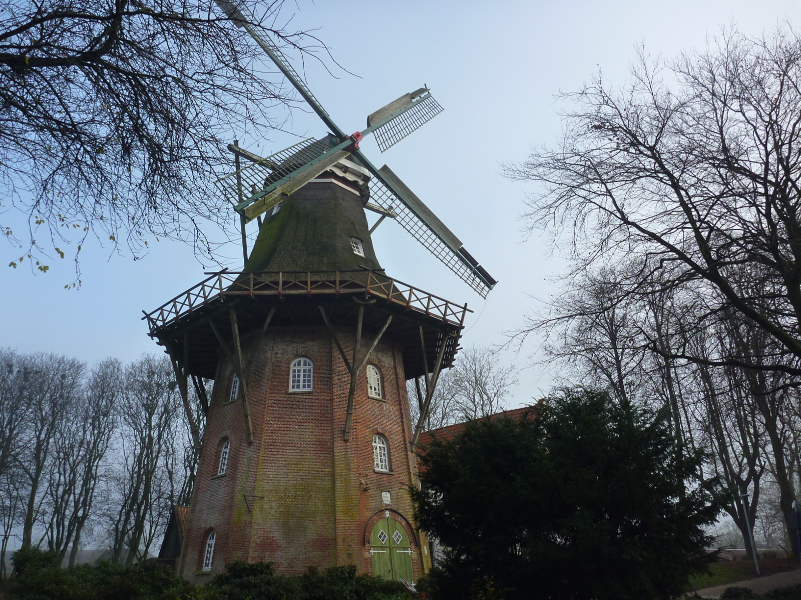 Frau Johanna Muehle in Emden